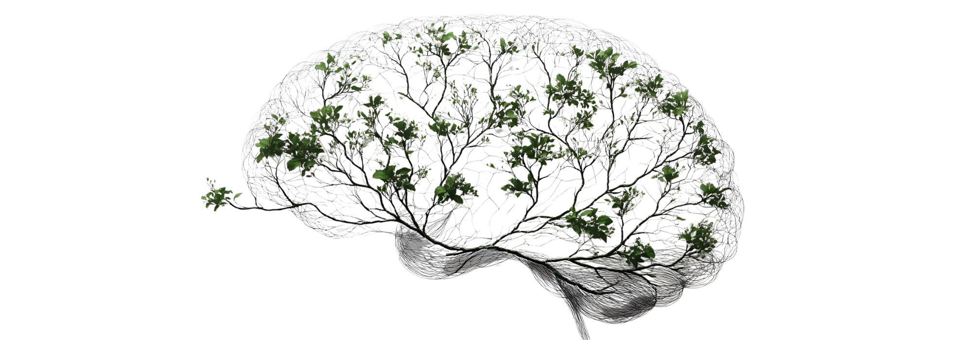 ey_praxis_brain_remodeling